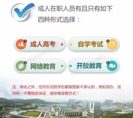 深耕教育十余载 当前教育咨询热点解析与实用建议